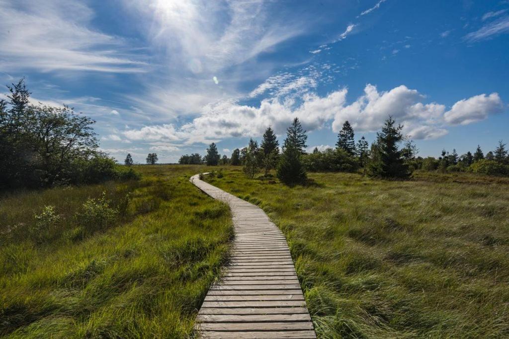 Le Noir Flohay 30 Pers - Malmedy, Vue, Wellness Villa Kültér fotó