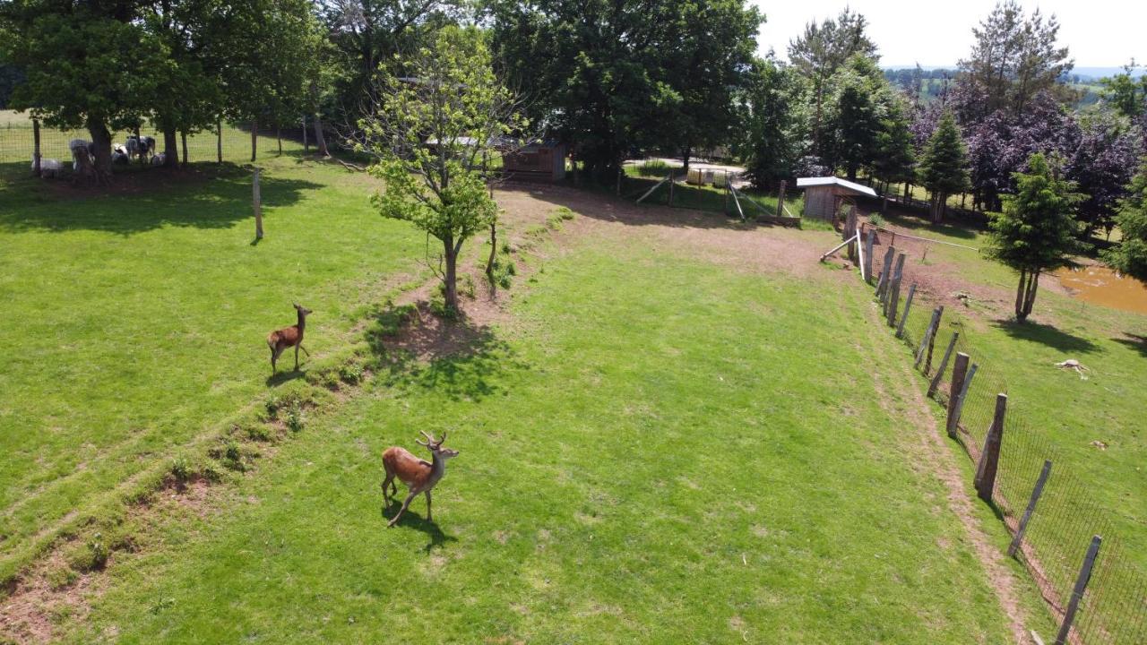 Le Noir Flohay 30 Pers - Malmedy, Vue, Wellness Villa Kültér fotó